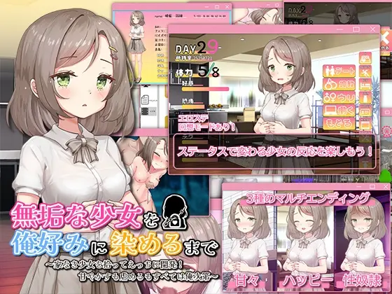 無垢な少女を俺好みに染めるまで～家なき少女を拾ってえっちに開発！ 甘やかすも虐めるもすべては俺次第～<まいんマイン> | RJ01406775