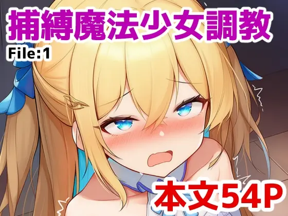 捕縛魔法少女調教 File:1<saltワークス> | RJ01416149