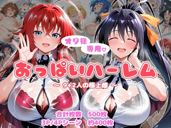 オジ様専用 おっぱいハーレム 〜9+2人の極上雌〜(AID-oll) | RJ01419419